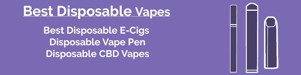 best disposable e-cig and disposable vape pens